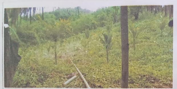 C:\Users\Lavinia Pde\AppData\Local\Microsoft\Windows\INetCache\Content.Word\IMG_20220418_125544.jpg